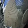 Frank Hinds - @frank.hinds8 - TikTok