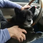 Frank Holder - @fbhloln - Instagram