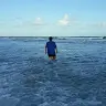 Frank Holder - @_frankholder - TikTok
