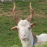 Frank Hole - @volle_yfan - Instagram