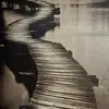 Frank Holey - @frankholey - TikTok