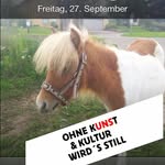 Frank Hollenbach - @frankhollenbach - Instagram