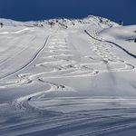 Frank Holst - @frank_holst - Instagram