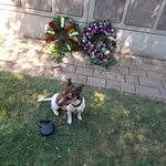 Frank Holtmann - @frank.holtmann.12 - Instagram
