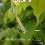 Frank Ludvig Holtmann - @holtmannfrank - Instagram