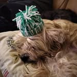 Frank Holtschlag - @frankholtschlag - Instagram