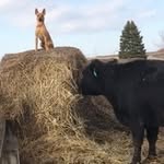 Frank Holtschlag - @holtschlagfrank - Instagram
