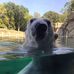 Frank Hommel - Facebook