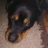 Mia - @frank.hunold - TikTok