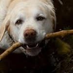 Frank Honoré - @paladin7100 - Instagram