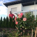 Frank Hopp - @frank_hopp - Instagram