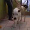 Frank Hopp - @frank.hopp0 - TikTok