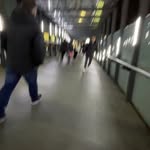 Frank Horne - @blankfrank2024 - Instagram