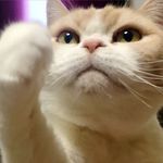 Frank Hui - @frankhui1980 - Instagram