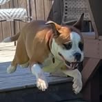 Frank Ingraham - Facebook