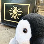 Frank - @frank_in_manc - Instagram