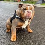 Franklin Munro - @frank.in.manc - Instagram