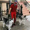 user9939226898992 - @frankliinoa - TikTok