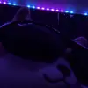 Frankinstein🇨🇳🇵🇭⁉️ - @thatoneasiang1rl - TikTok