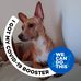 Frank S Ito - Facebook