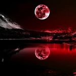 frank iverson - @iverson.frank - Instagram