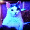 frankiverson119 - @frankiverson119 - TikTok
