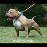 Frank Jacinto - @frankjacinto52 - Instagram