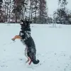 Frank Jahnke - @frank.jahnke6 - TikTok