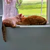 Frank&Jasper - @frank_jasper - TikTok