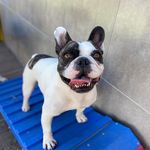 Frank Jost - @frankjostt - Instagram
