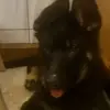 jostfrank954gukjkyhzosyzistyti - @jostfrank954 - TikTok