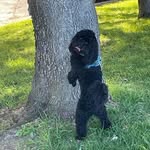 Frank Kahn - @frankkahn2 - Instagram