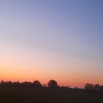 frank van kampen - @frankvkampen_ - Instagram