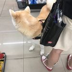 Frank Kang - @kang.frank - Instagram