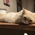 Frank Kang - @aisummer.kang - Instagram