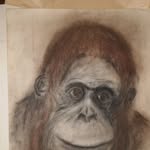 Frank Kappé - @frank.kappe - Instagram