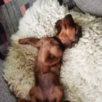 Frank Kappel - @frank_kappel - Instagram