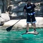 Frank D Karp - @fdkarp - Instagram