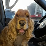 Frank Karp - @megataucher37 - Instagram