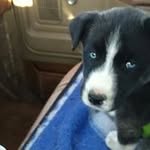 Frank Karpe - @karpefrank - Instagram