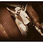 Frank Kasper - @frank.kasper.944 - Instagram
