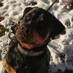Frank Kästner - @frank.kastner.127 - Instagram