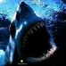 Frank Kelch - Facebook