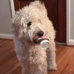 Frank Kenner - @dood_wheresmyfrank - Instagram
