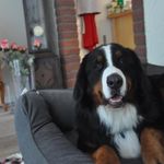 Frank Müller-Kenyon - @mkenyonfranko - Instagram