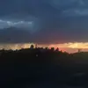 frank germani - @frankgermani - TikTok