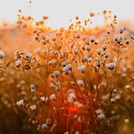 Franklyn Kessinger - @franklynkessinger - Instagram