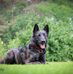 Frank Giesler - Facebook