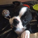 Frankie Kincaid - @hola_frankie - Instagram