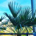 Frank Kirschner - @kirschner_frank - Instagram